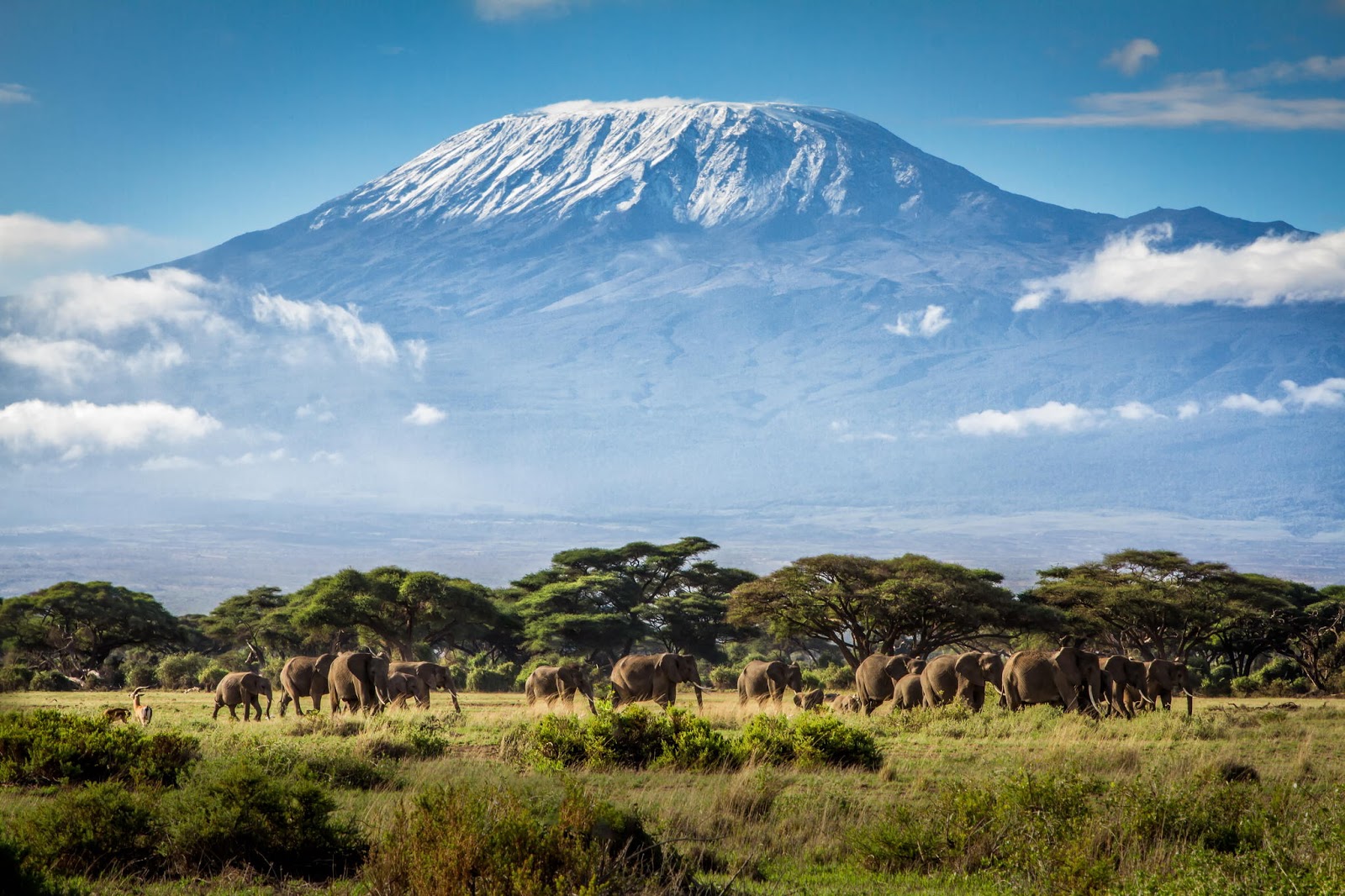 Mount Kilimanjaro, Tanzania